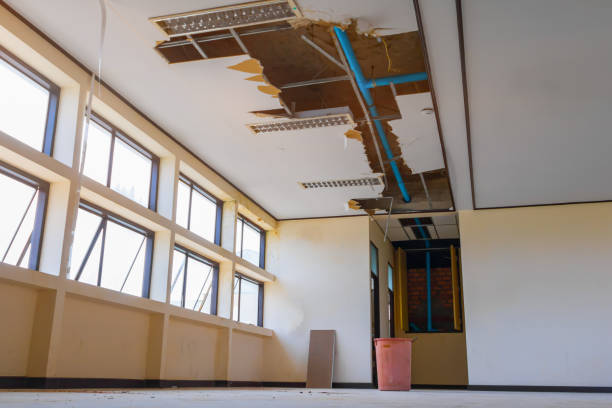 Best Commercial water damage restoration  in Litchfield, MN