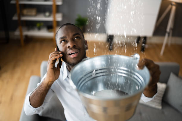 Best Local water damage restoration  in Litchfield, MN