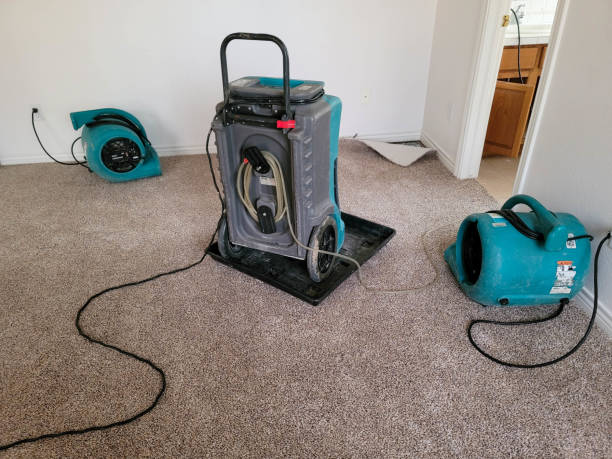 Best Emergency water damage restoration  in Litchfield, MN