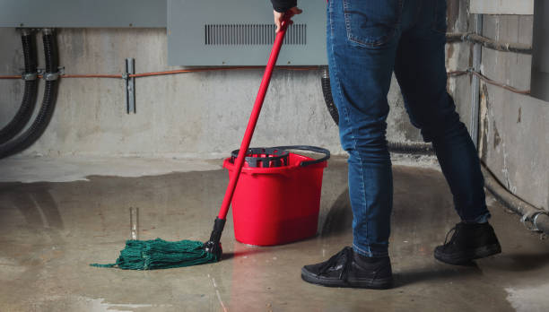 Best Professional water damage repair  in Litchfield, MN