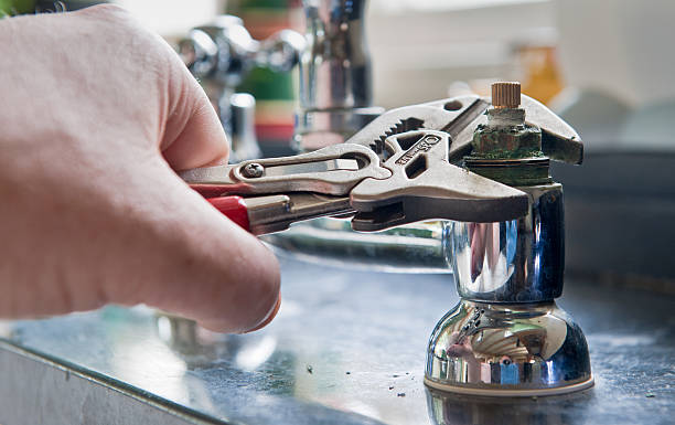 Best Flood damage cleanup  in Litchfield, MN