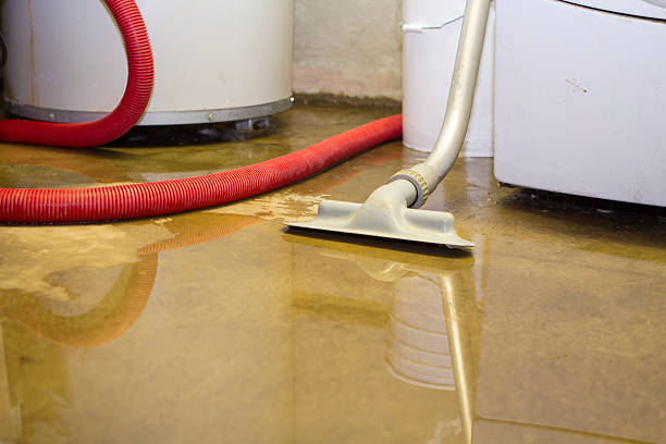 Best Local water damage restoration  in Litchfield, MN