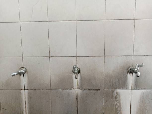 Best Carpet water damage restoration  in Litchfield, MN