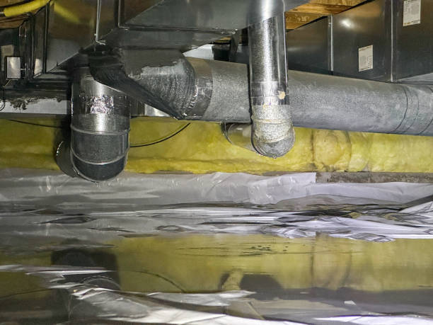 Litchfield, MN Water damage restoration Pros