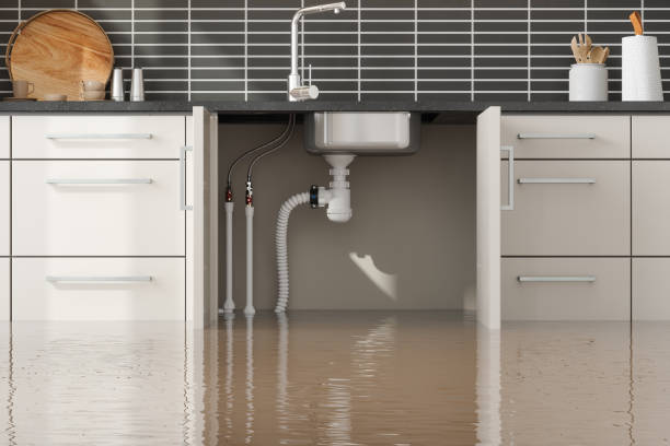 Best Water damage repair service  in Litchfield, MN
