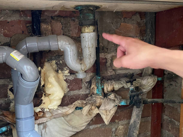 Best Sewage cleanup and water damage restoration  in Litchfield, MN