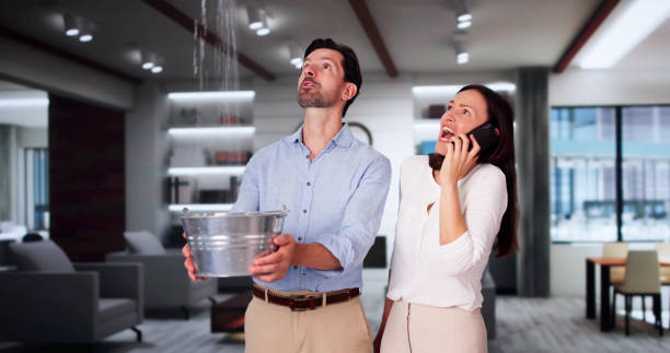 Best 24/7 water damage repair  in Litchfield, MN