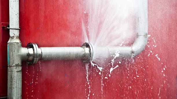 Best Ceiling water damage repair  in Litchfield, MN