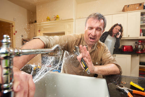 Best Water damage restoration specialists  in Litchfield, MN
